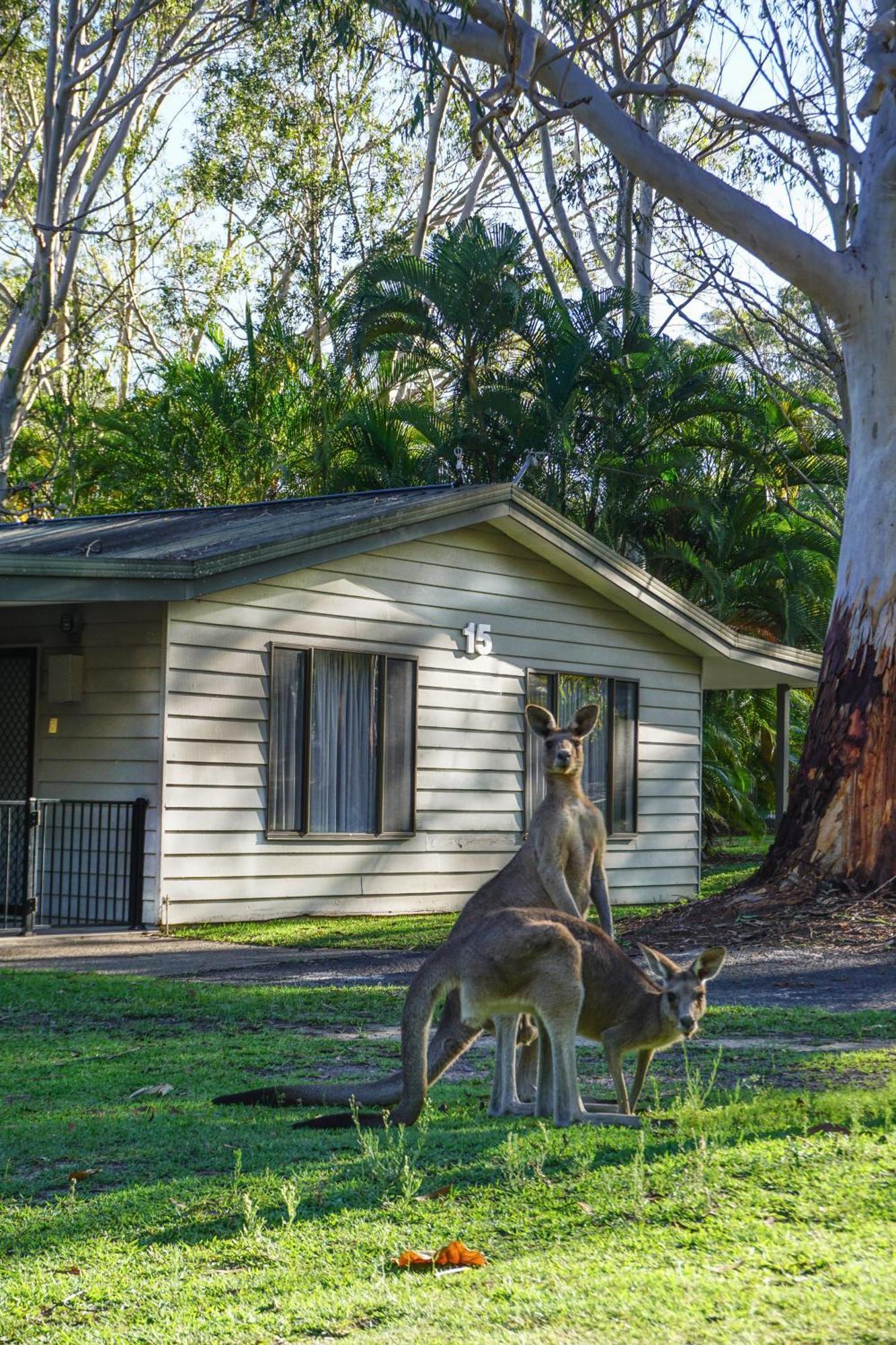 Big4 Noosa North Shore Extérieur photo