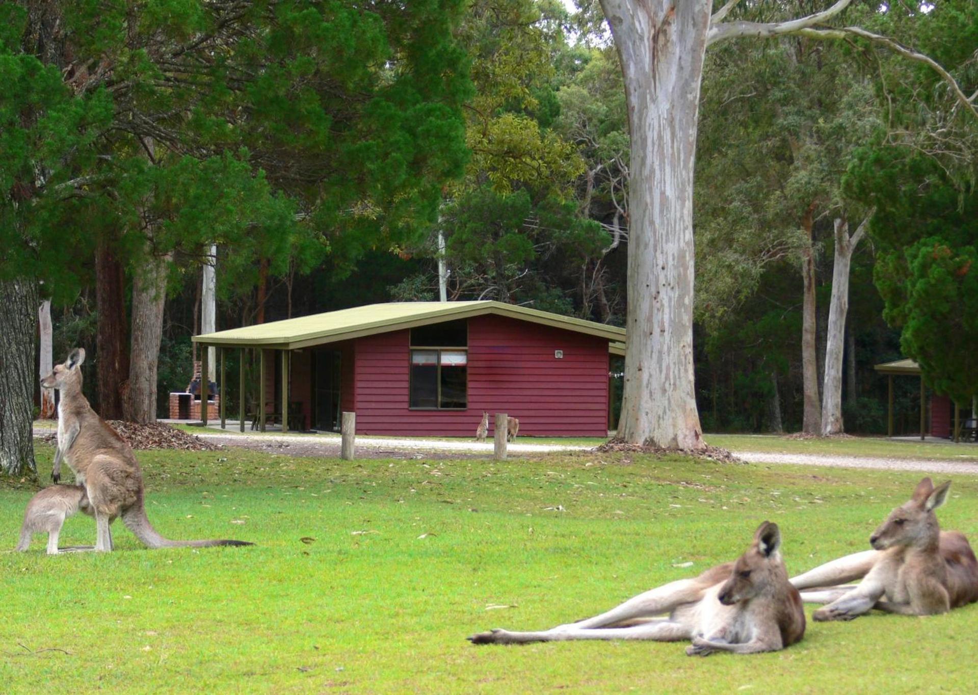 Big4 Noosa North Shore Extérieur photo